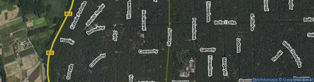 Zdjęcie satelitarne Wiewiórek ul.